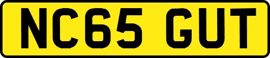 NC65GUT