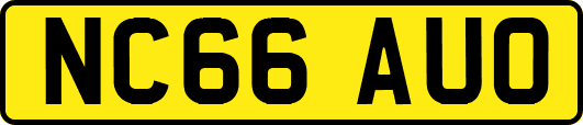NC66AUO