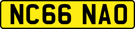 NC66NAO