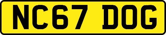 NC67DOG