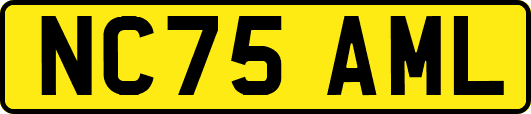 NC75AML