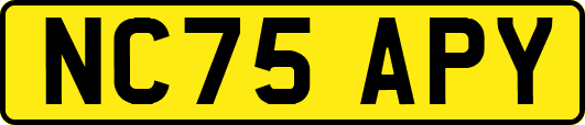 NC75APY
