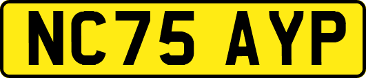 NC75AYP