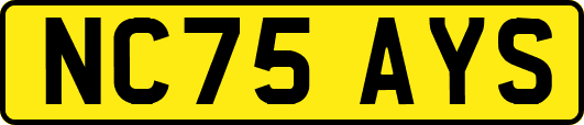 NC75AYS