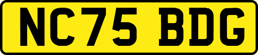 NC75BDG