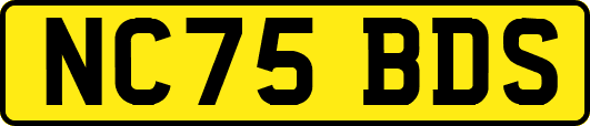 NC75BDS