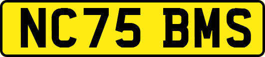 NC75BMS