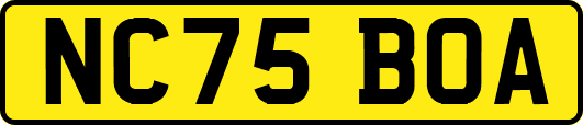 NC75BOA
