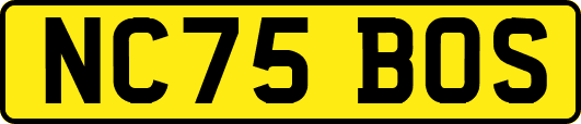 NC75BOS