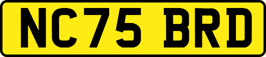 NC75BRD