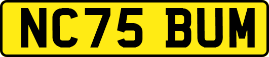 NC75BUM