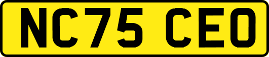 NC75CEO