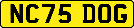 NC75DOG