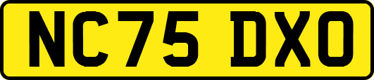 NC75DXO