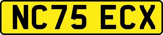 NC75ECX