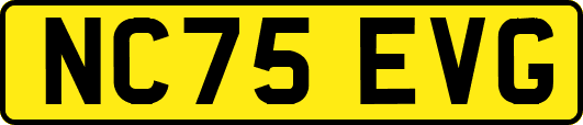 NC75EVG