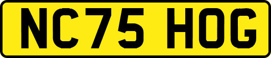 NC75HOG