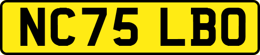 NC75LBO