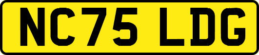 NC75LDG