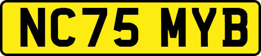 NC75MYB
