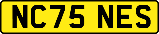 NC75NES