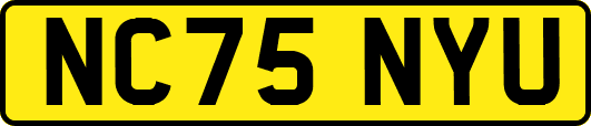 NC75NYU
