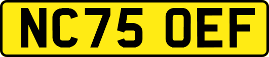 NC75OEF