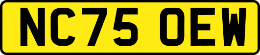 NC75OEW