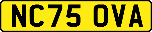 NC75OVA