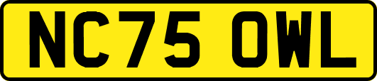NC75OWL