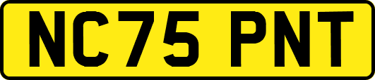 NC75PNT