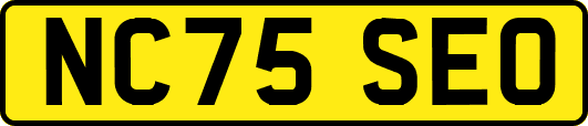 NC75SEO