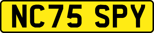 NC75SPY