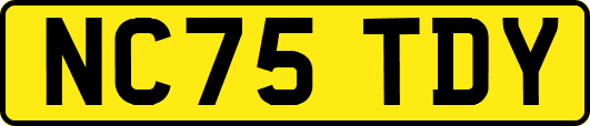 NC75TDY