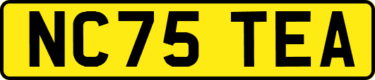 NC75TEA