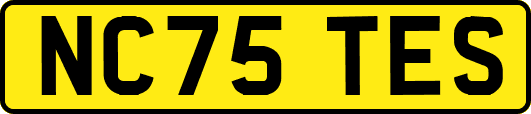 NC75TES