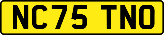 NC75TNO
