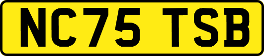 NC75TSB