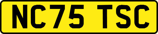 NC75TSC