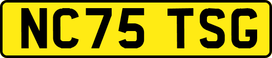 NC75TSG