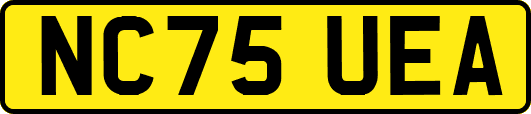NC75UEA