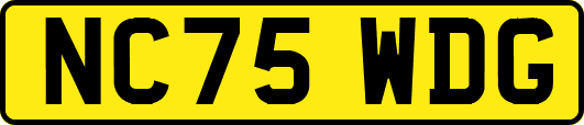 NC75WDG