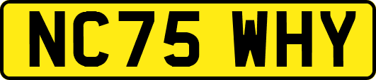 NC75WHY