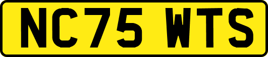 NC75WTS