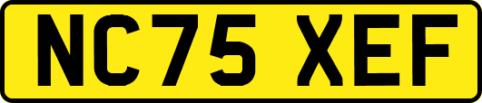 NC75XEF