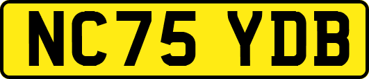 NC75YDB