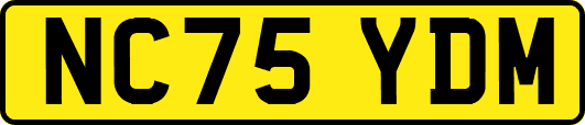 NC75YDM