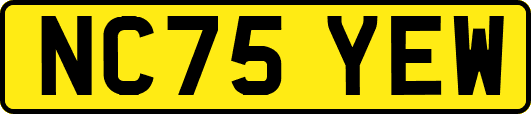 NC75YEW