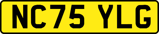 NC75YLG
