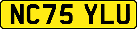 NC75YLU